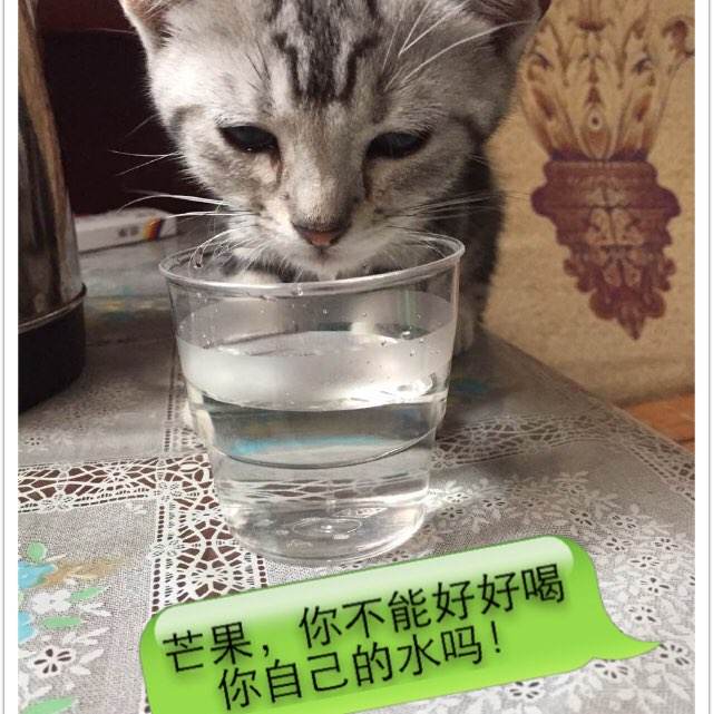 代办安检员证